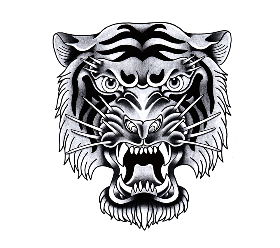 Tigre illustration - réalisation da-conceicao.com